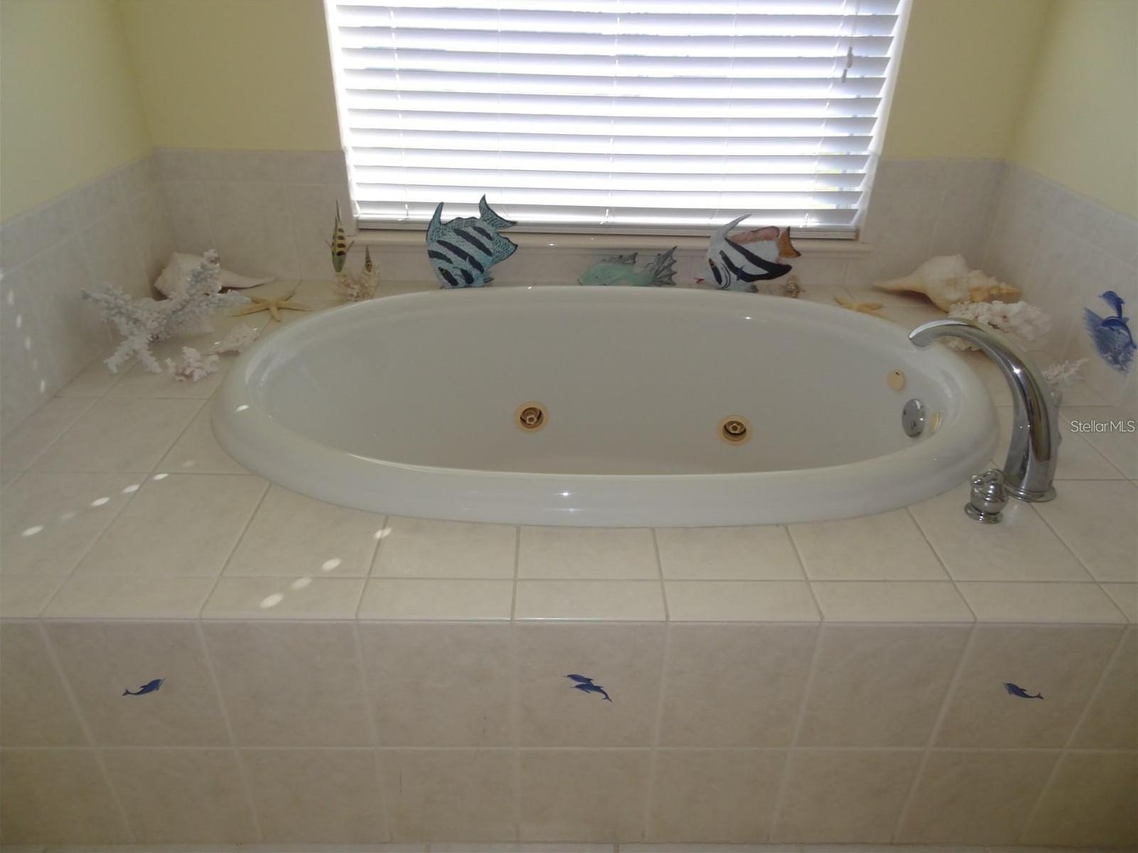 Photo #29