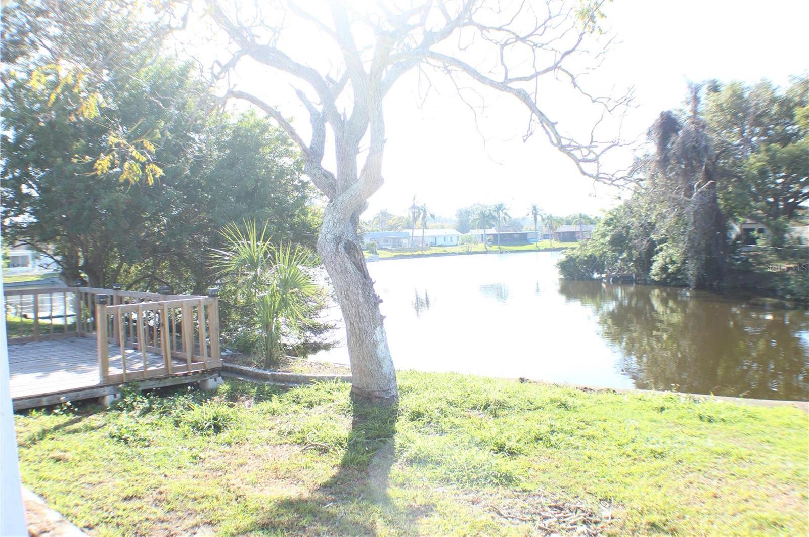 Photo #37