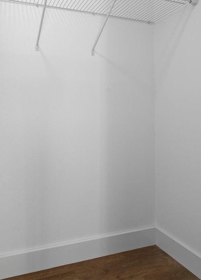 Photo #24