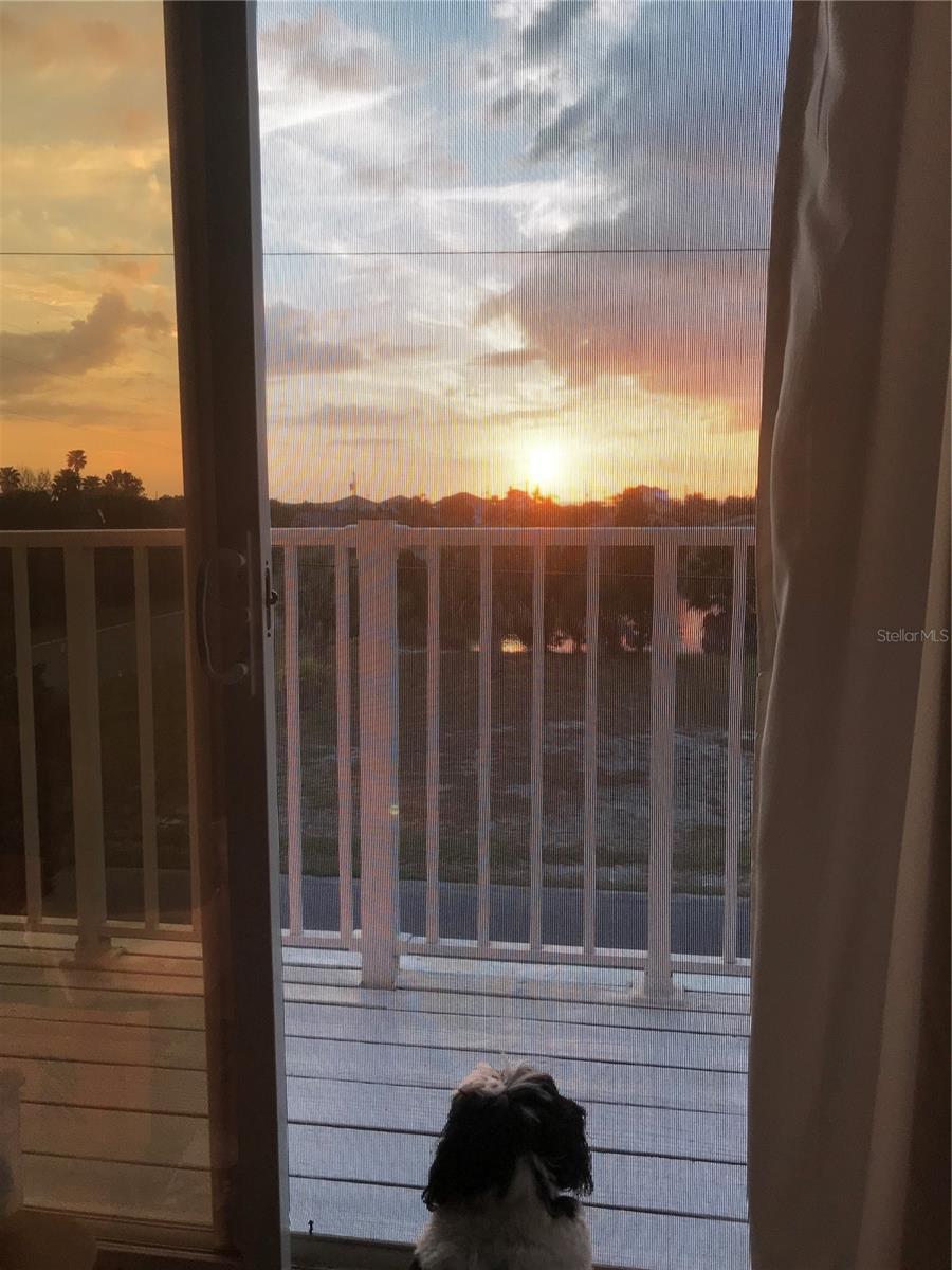 Photo #33