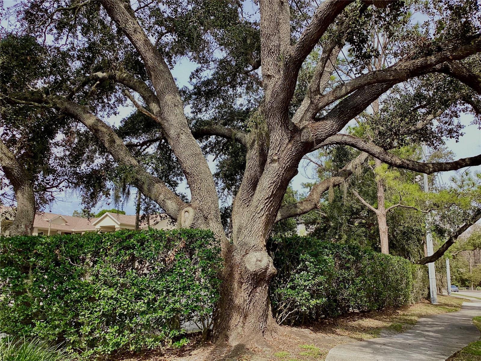 Photo #44