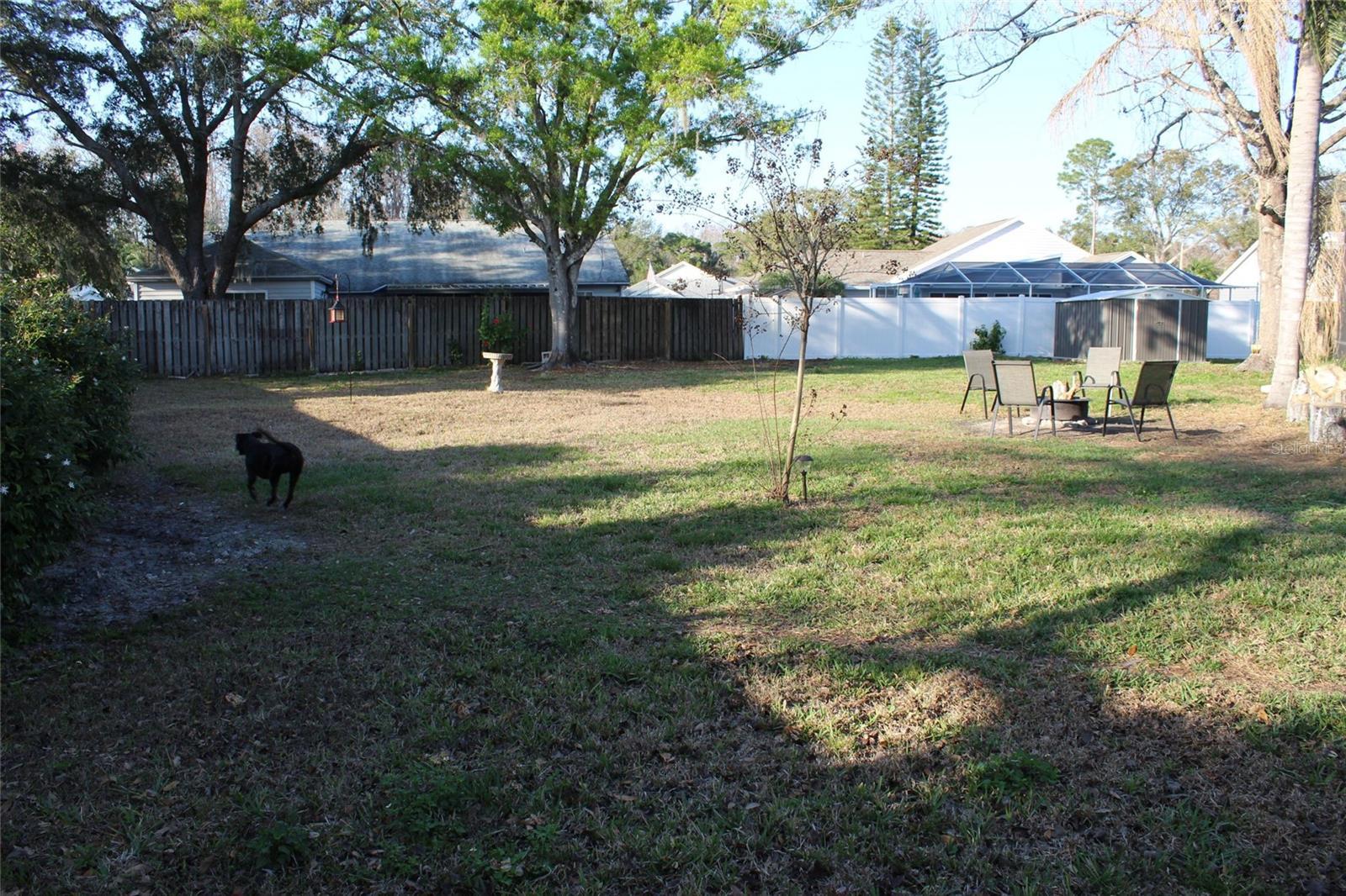 Photo #41