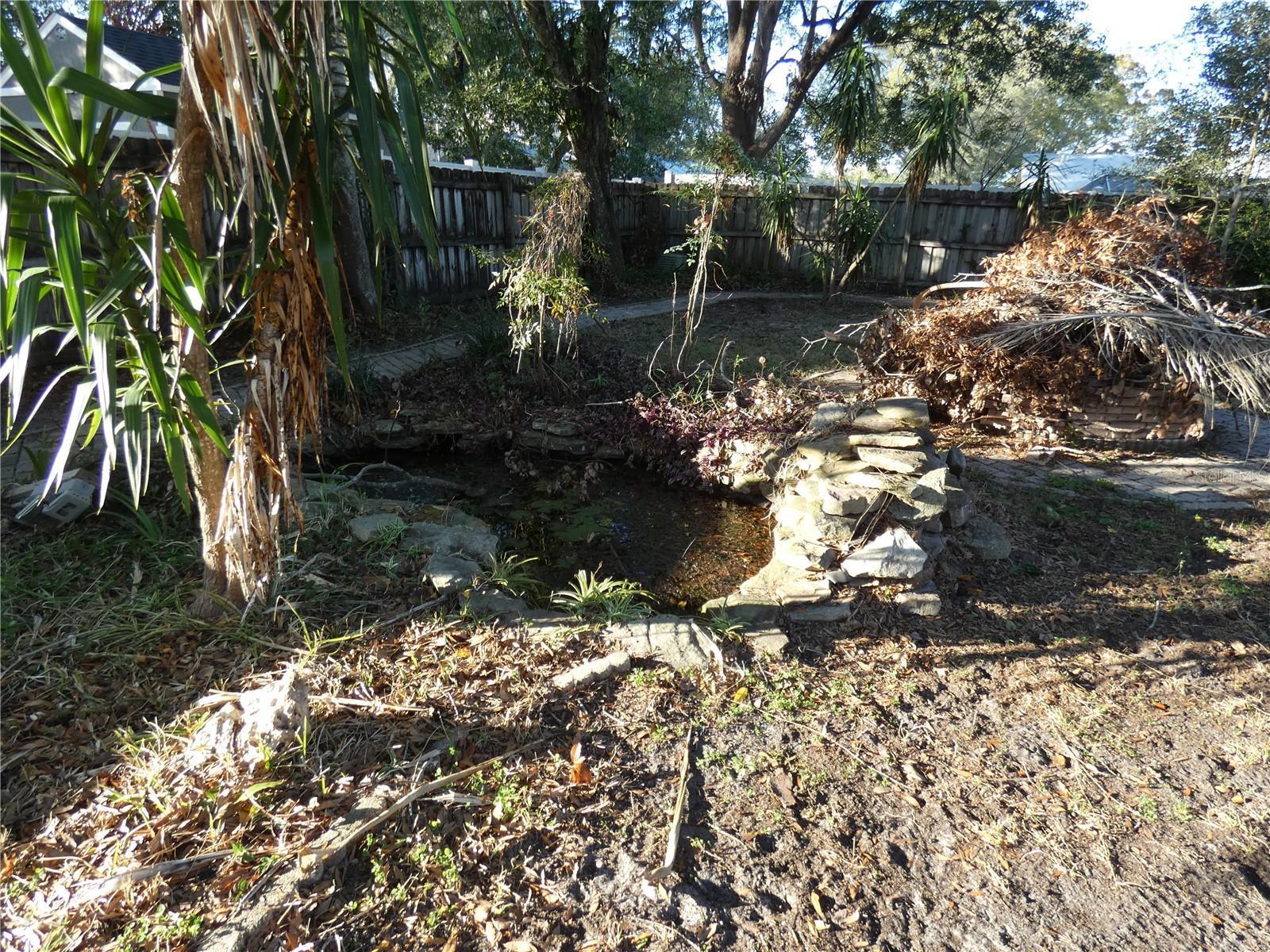 Photo #4