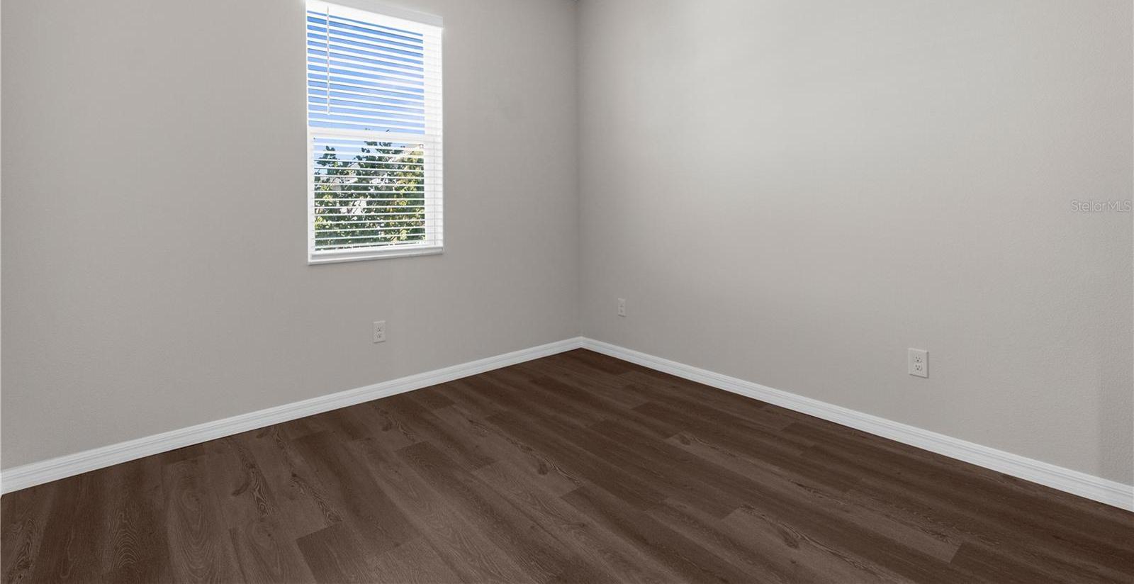 Photo #6