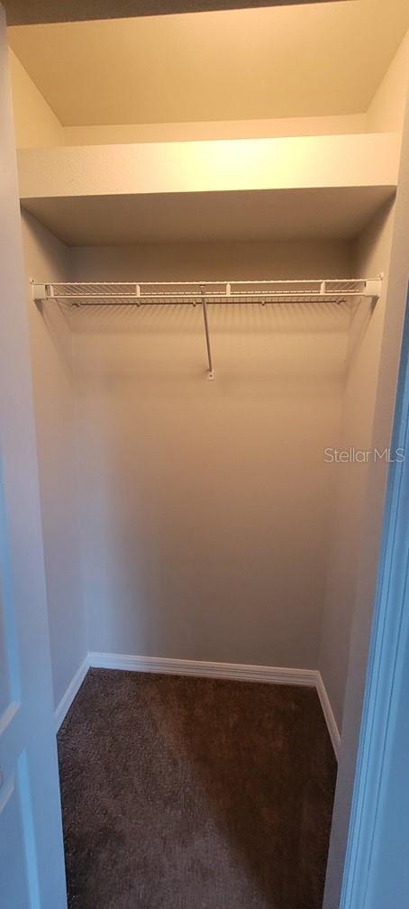 Photo #19