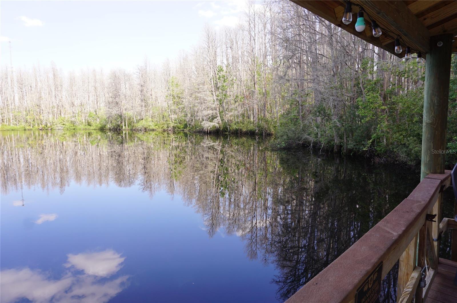 Photo #37