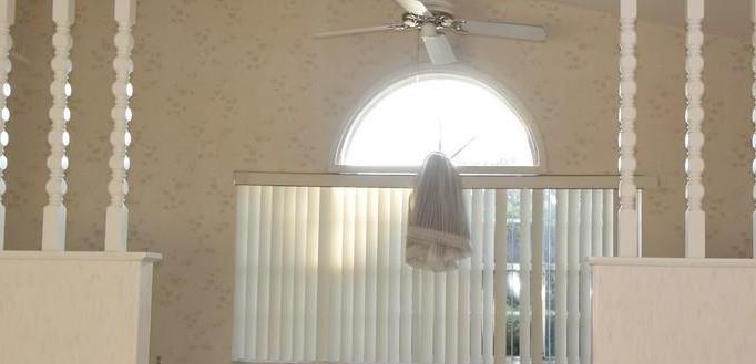 Photo #11