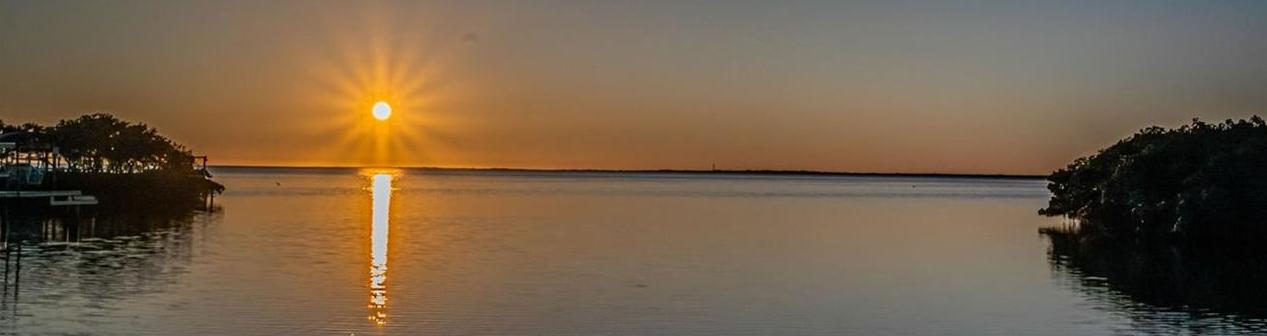 Photo #14