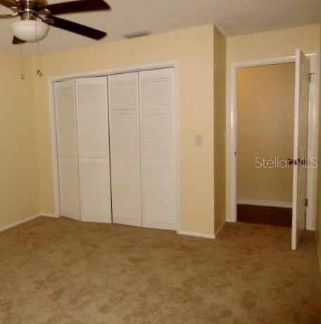 Photo #14