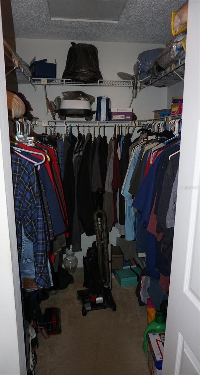 Photo #11