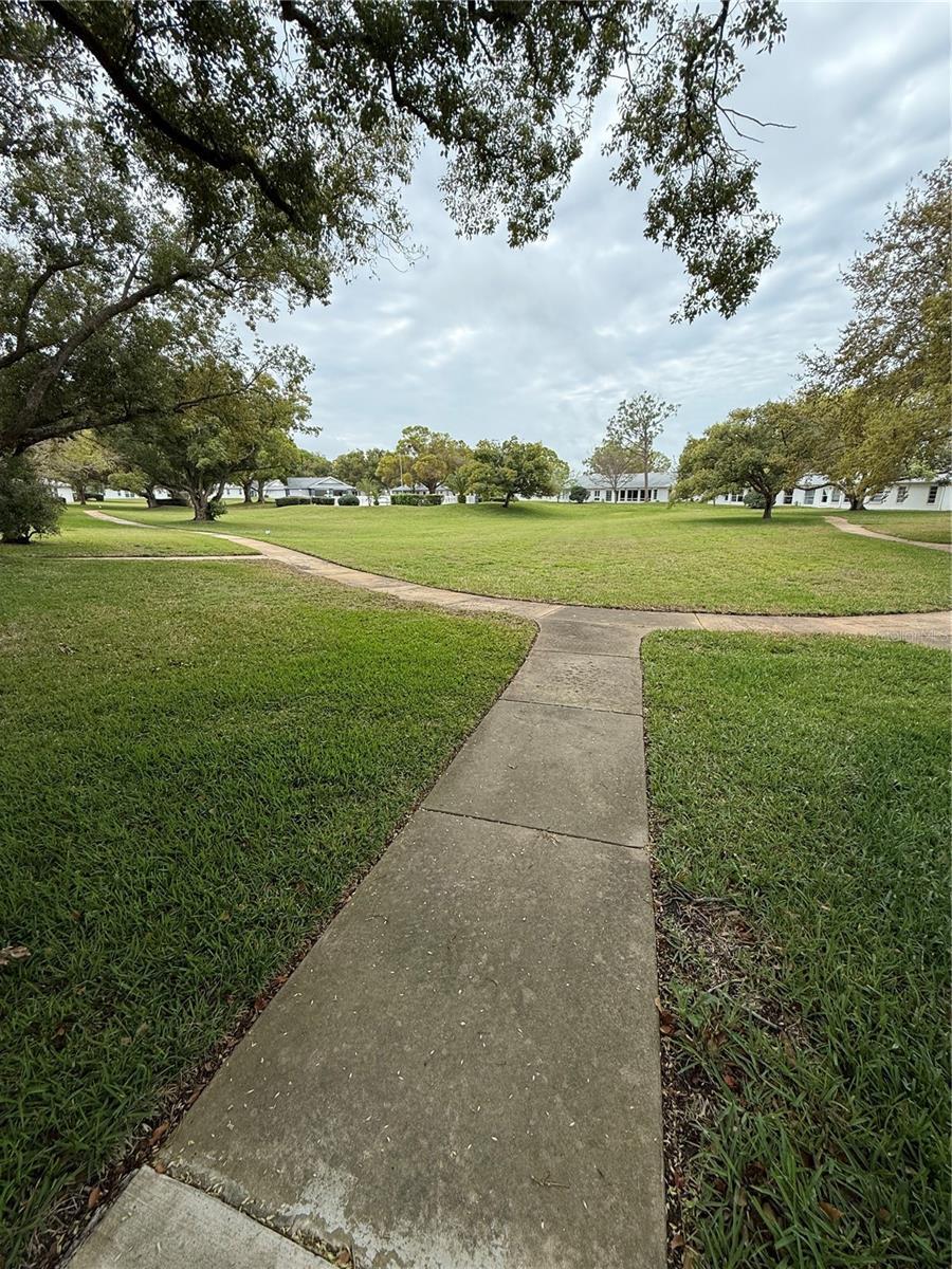 Photo #18