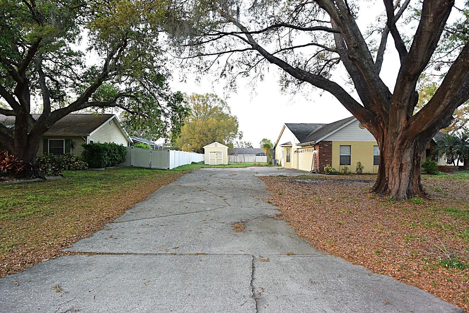 Photo #47