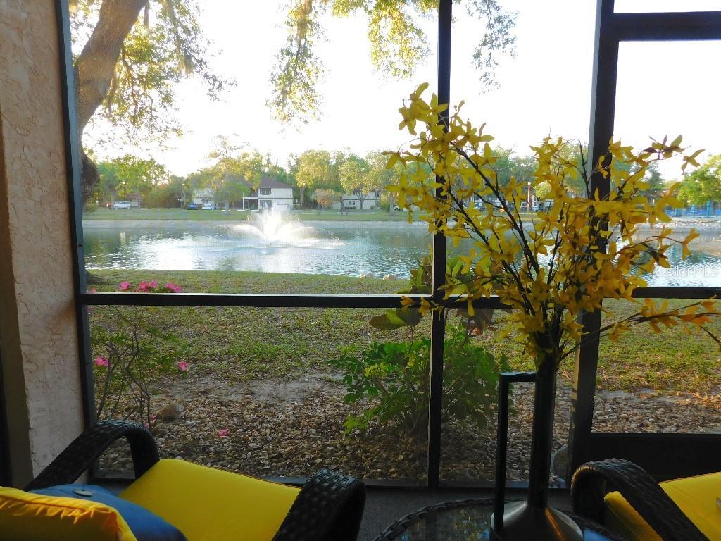 Photo #17