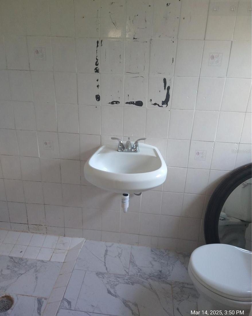 Photo #21