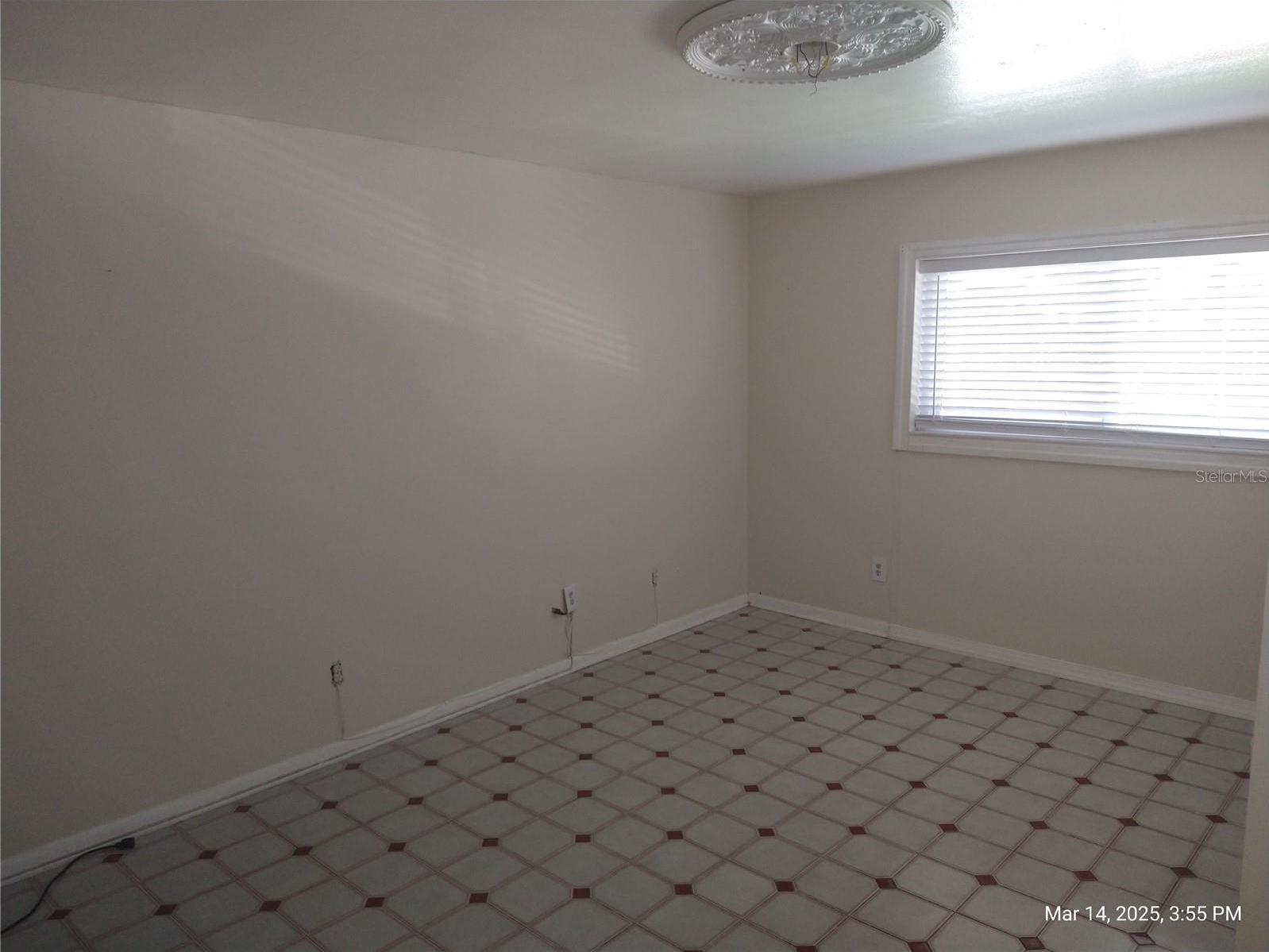 Photo #38