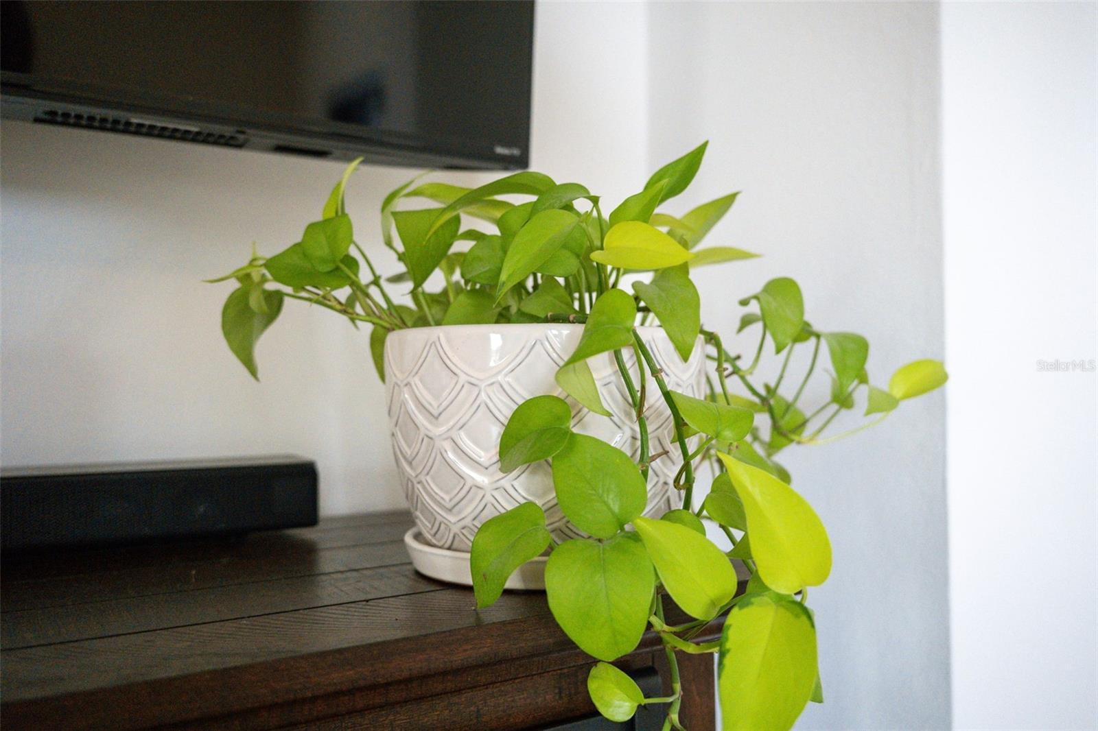 Photo #21