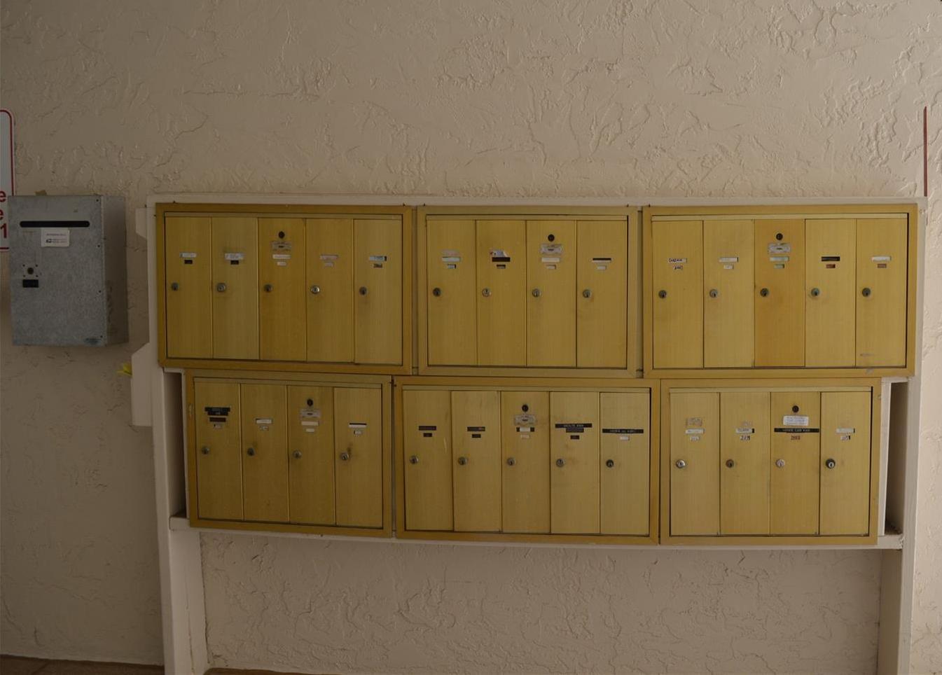 Photo #52