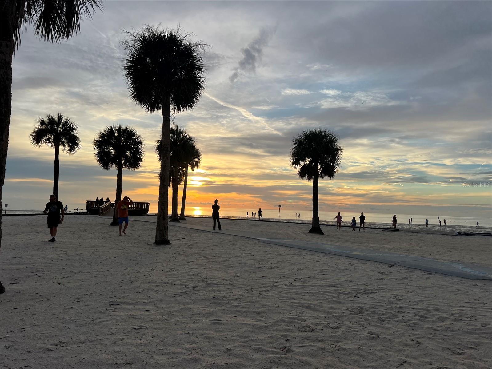 Photo #51
