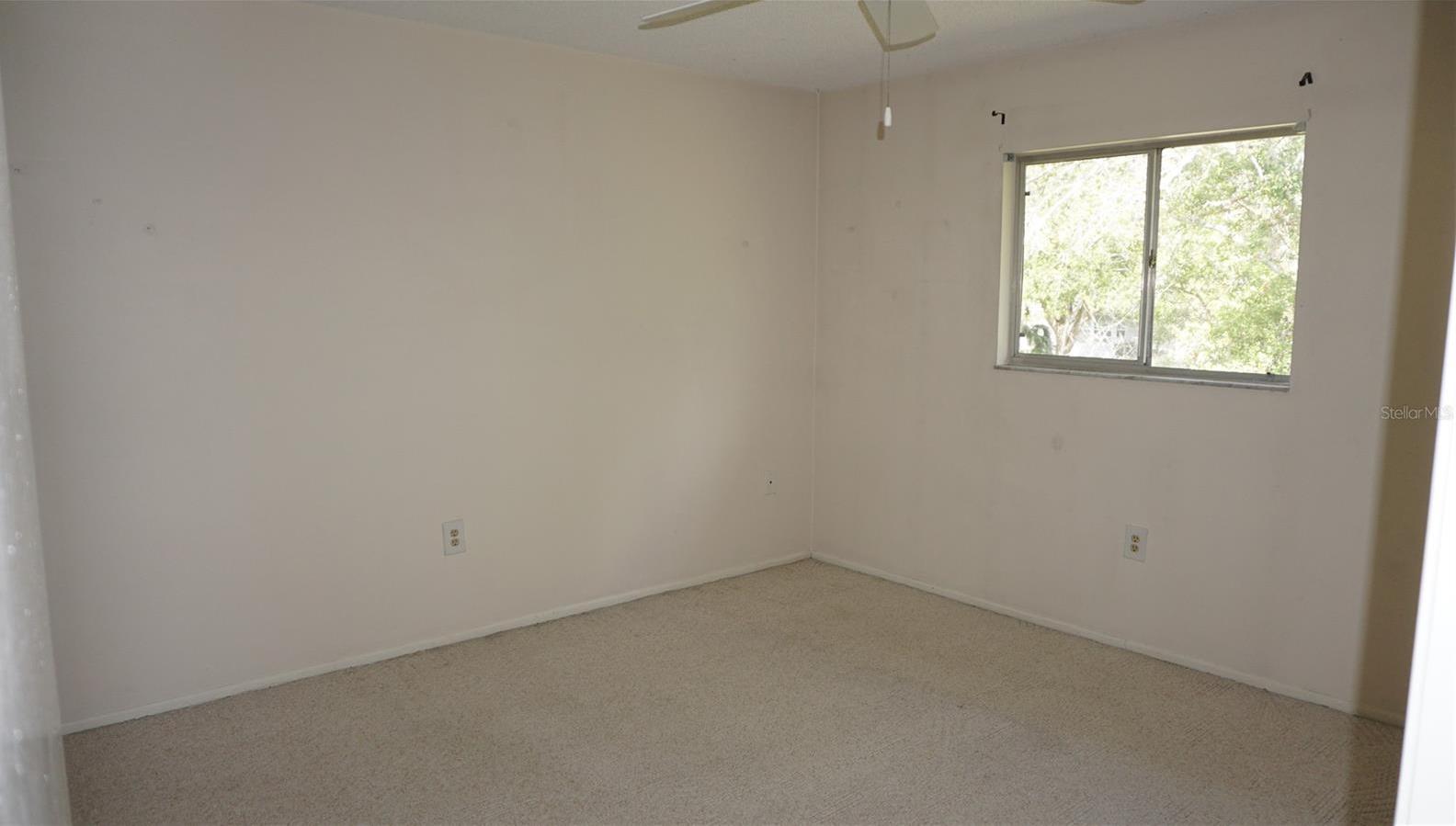 Photo #8