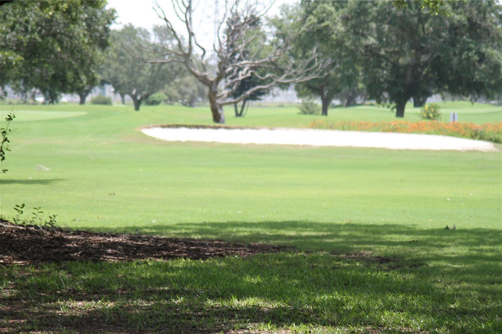 Photo #41