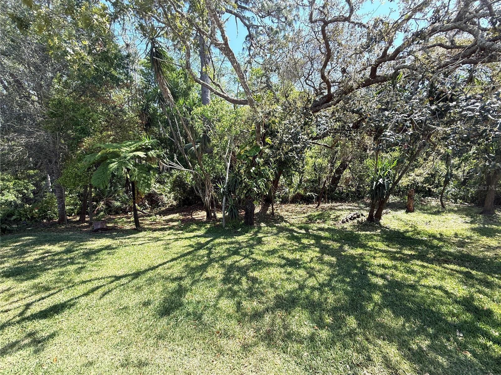 Photo #3