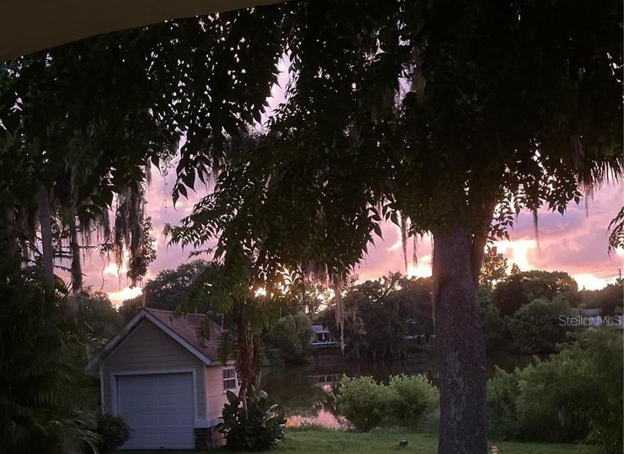 Photo #38