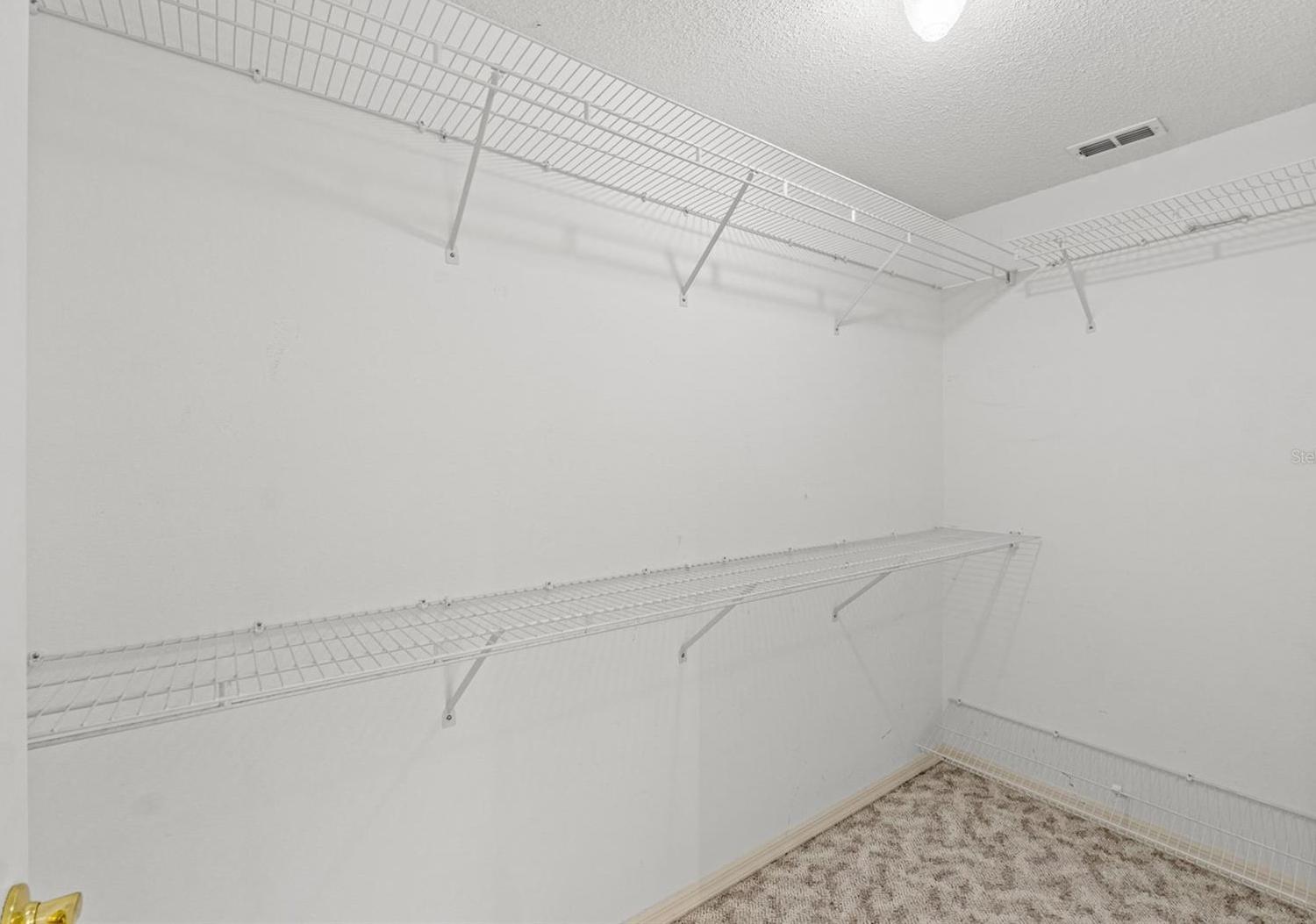Photo #42