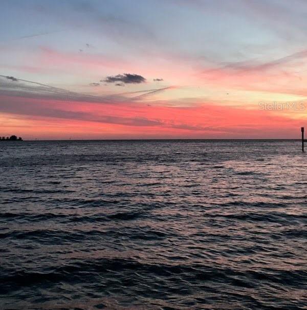 Photo #43