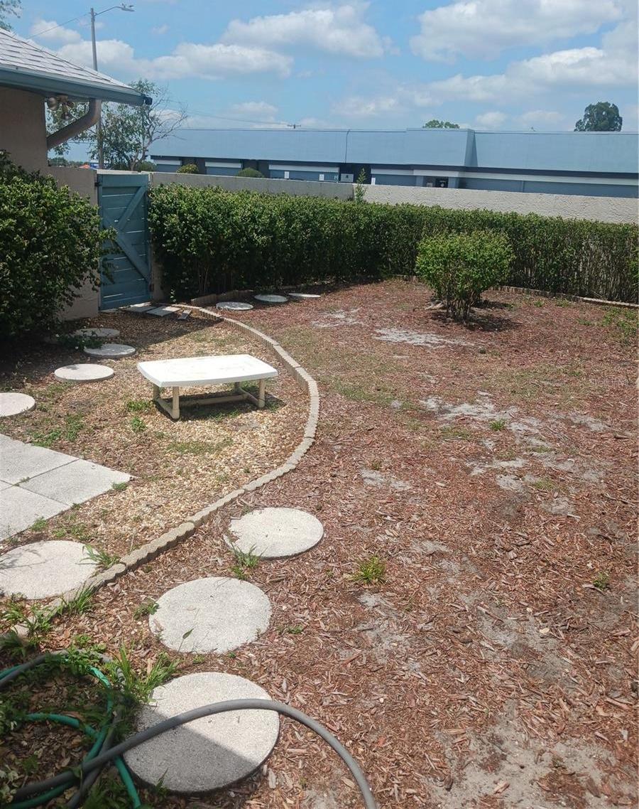 Photo #5