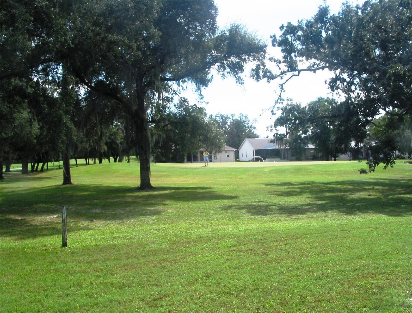 Photo #61