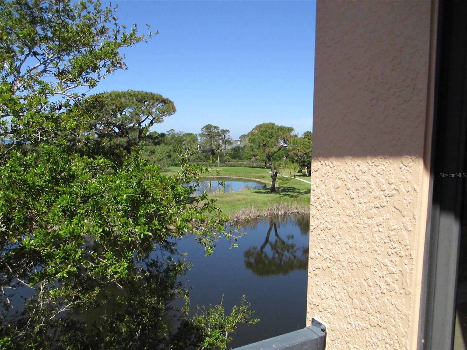 Photo #31