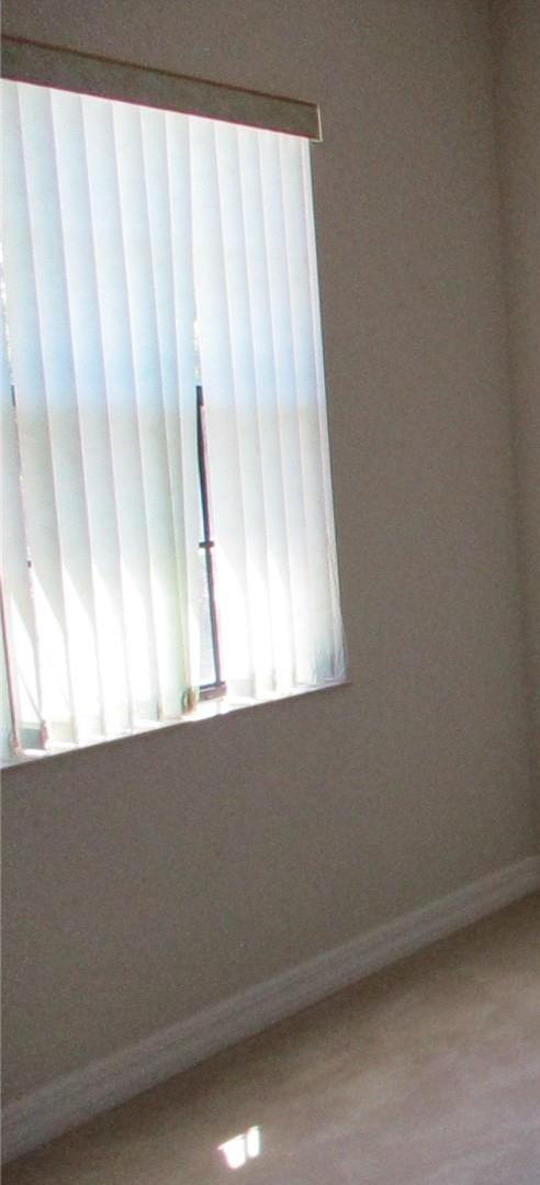 Photo #18