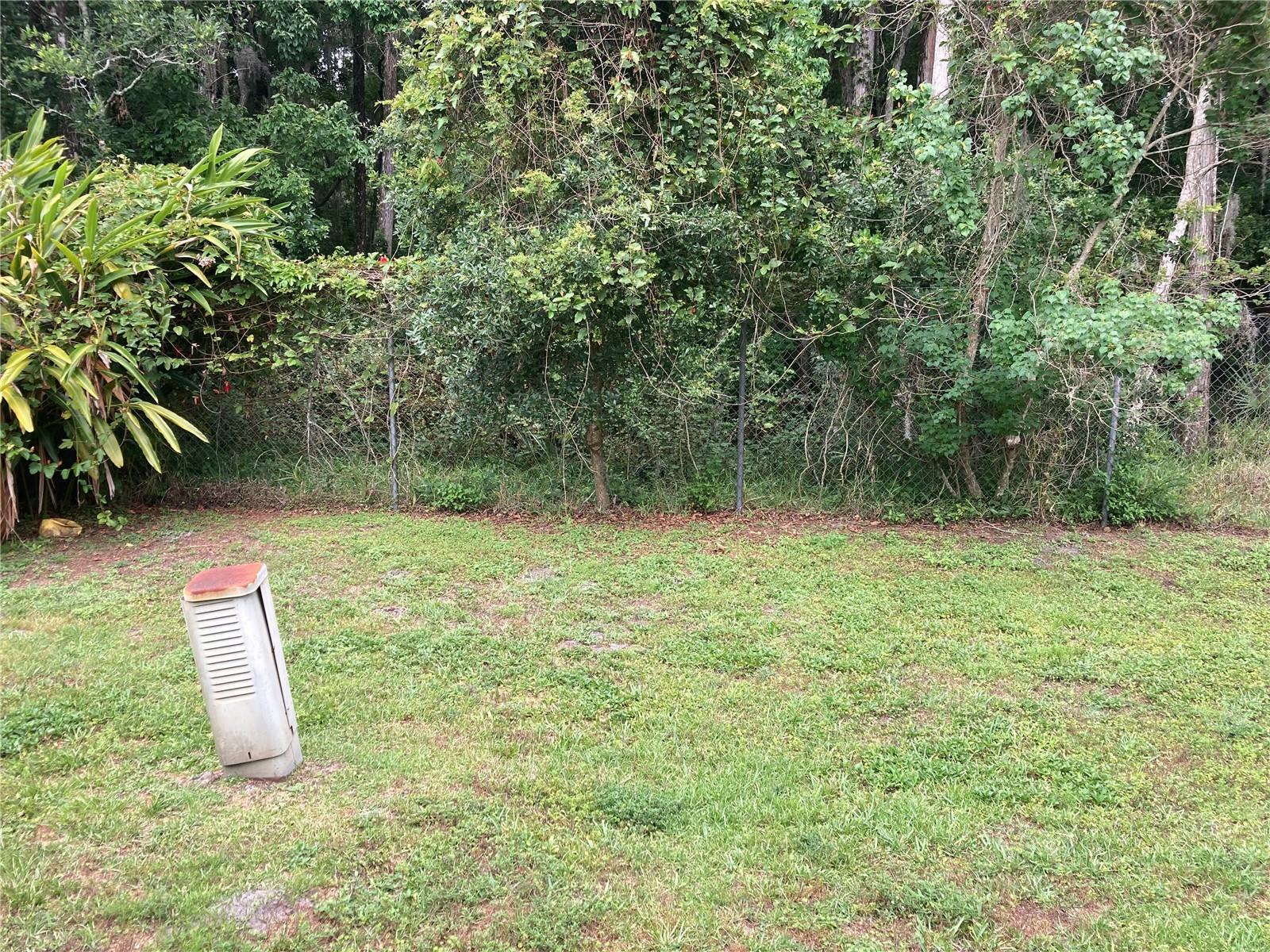 Photo #6