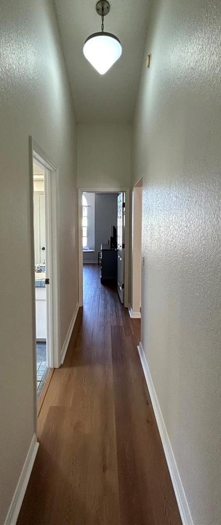 Photo #33