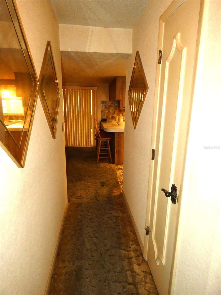 Photo #18