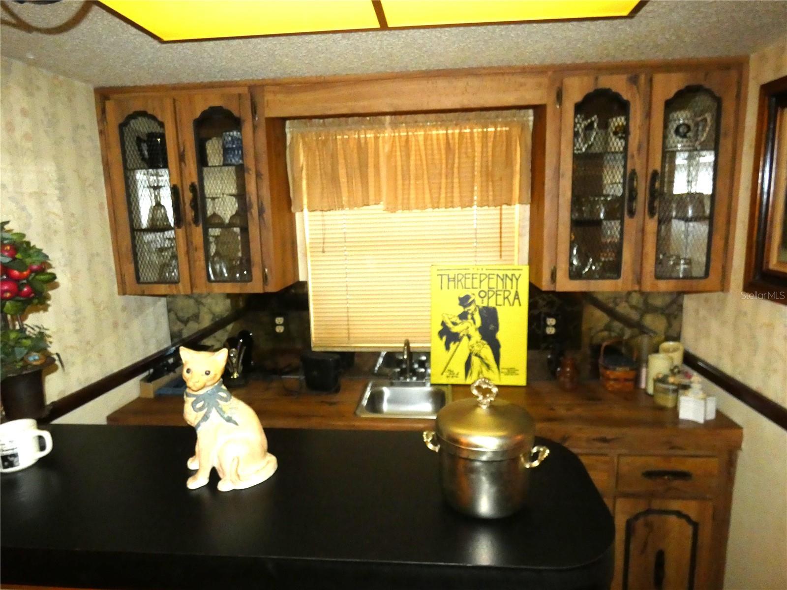 Photo #13