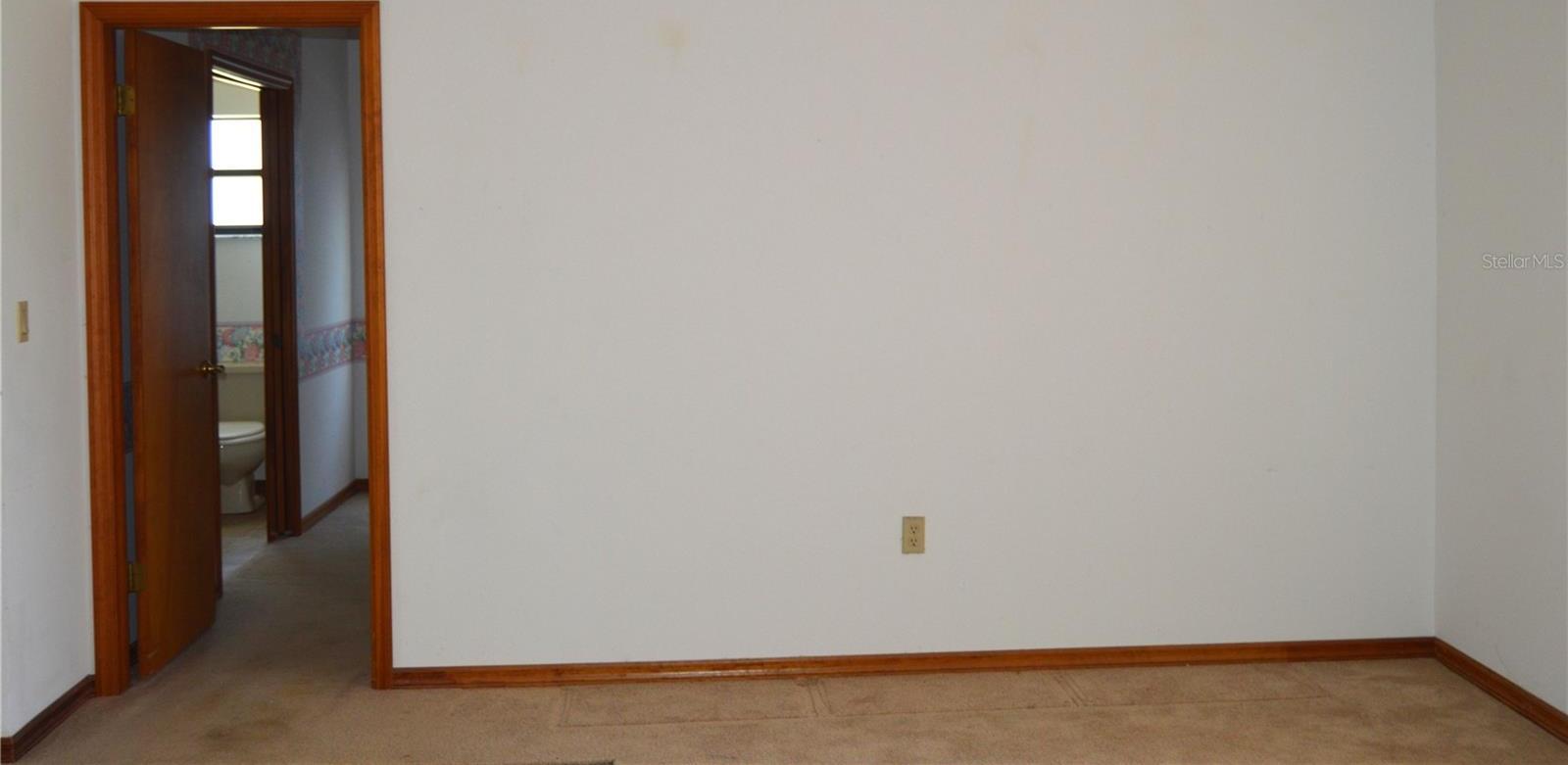 Photo #16
