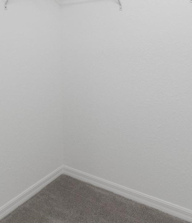Photo #27