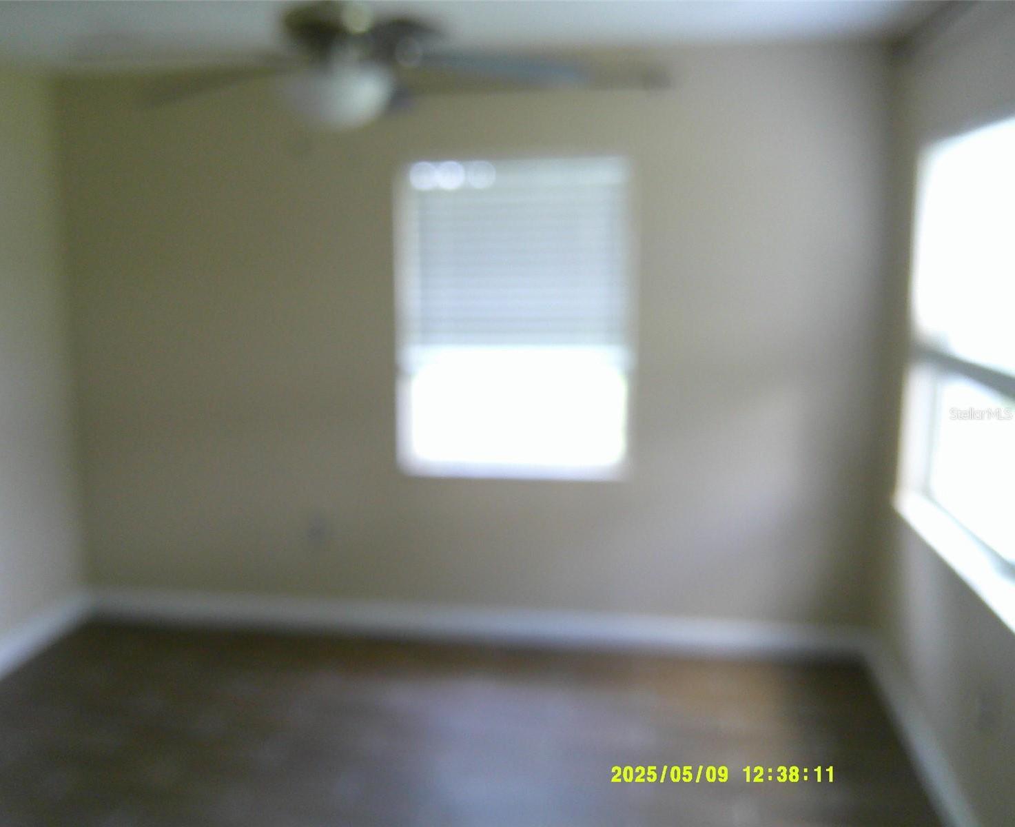 Photo #4