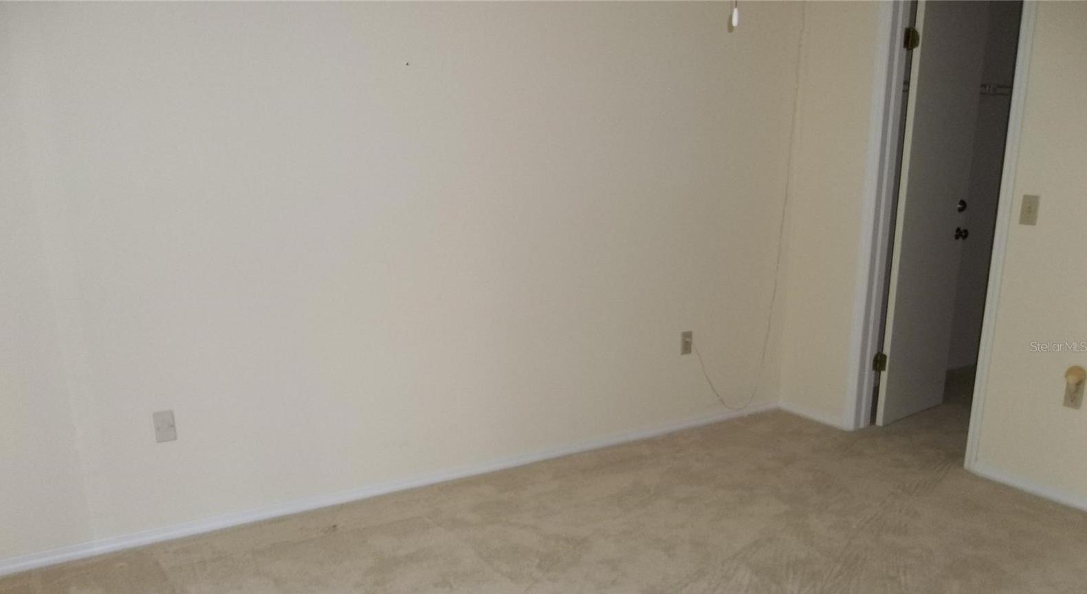 Photo #8