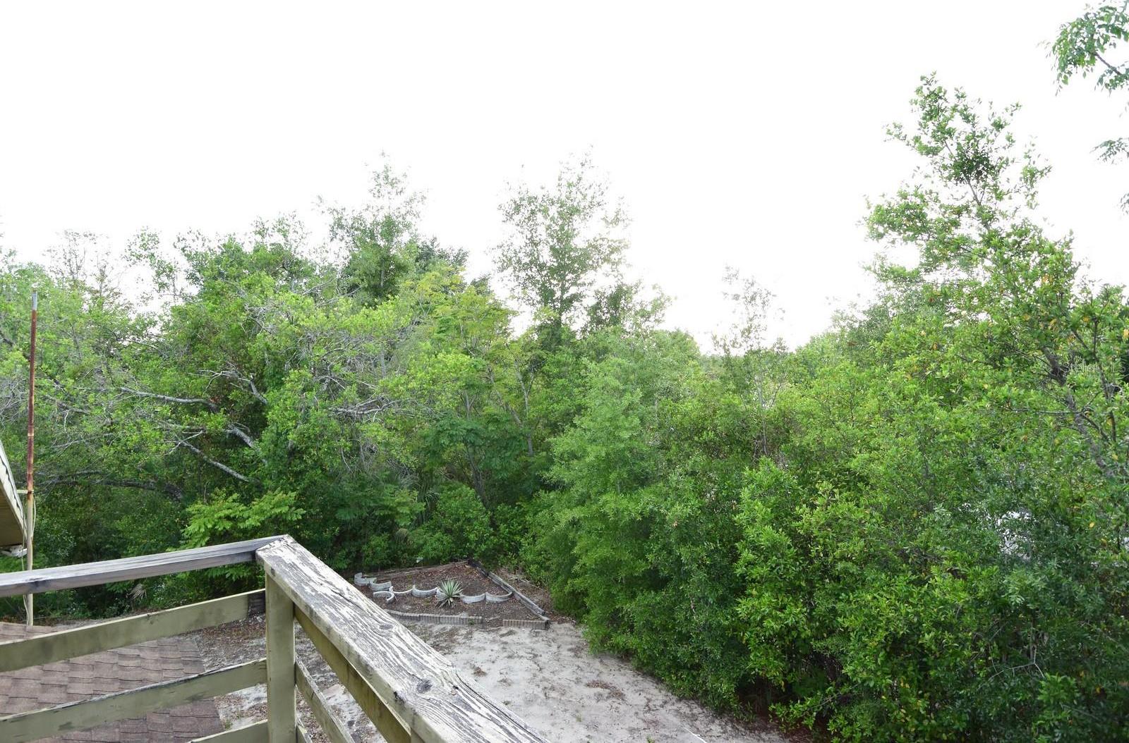 Photo #36