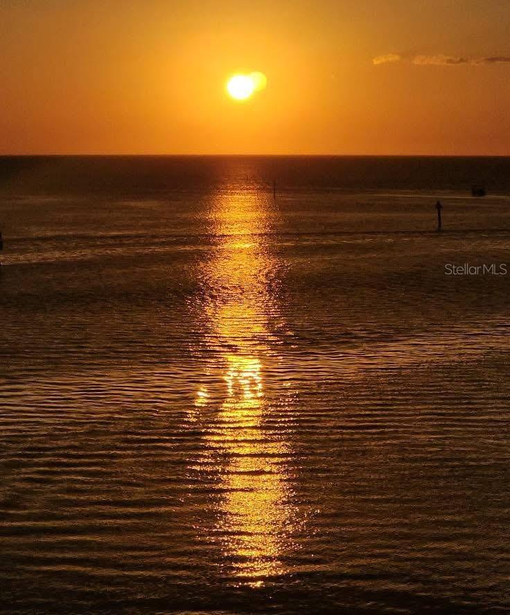 Photo #48