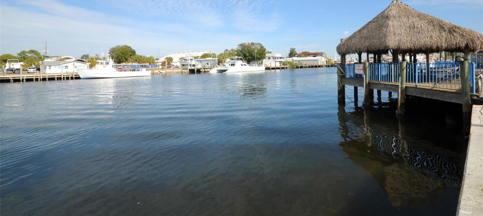 Photo #17
