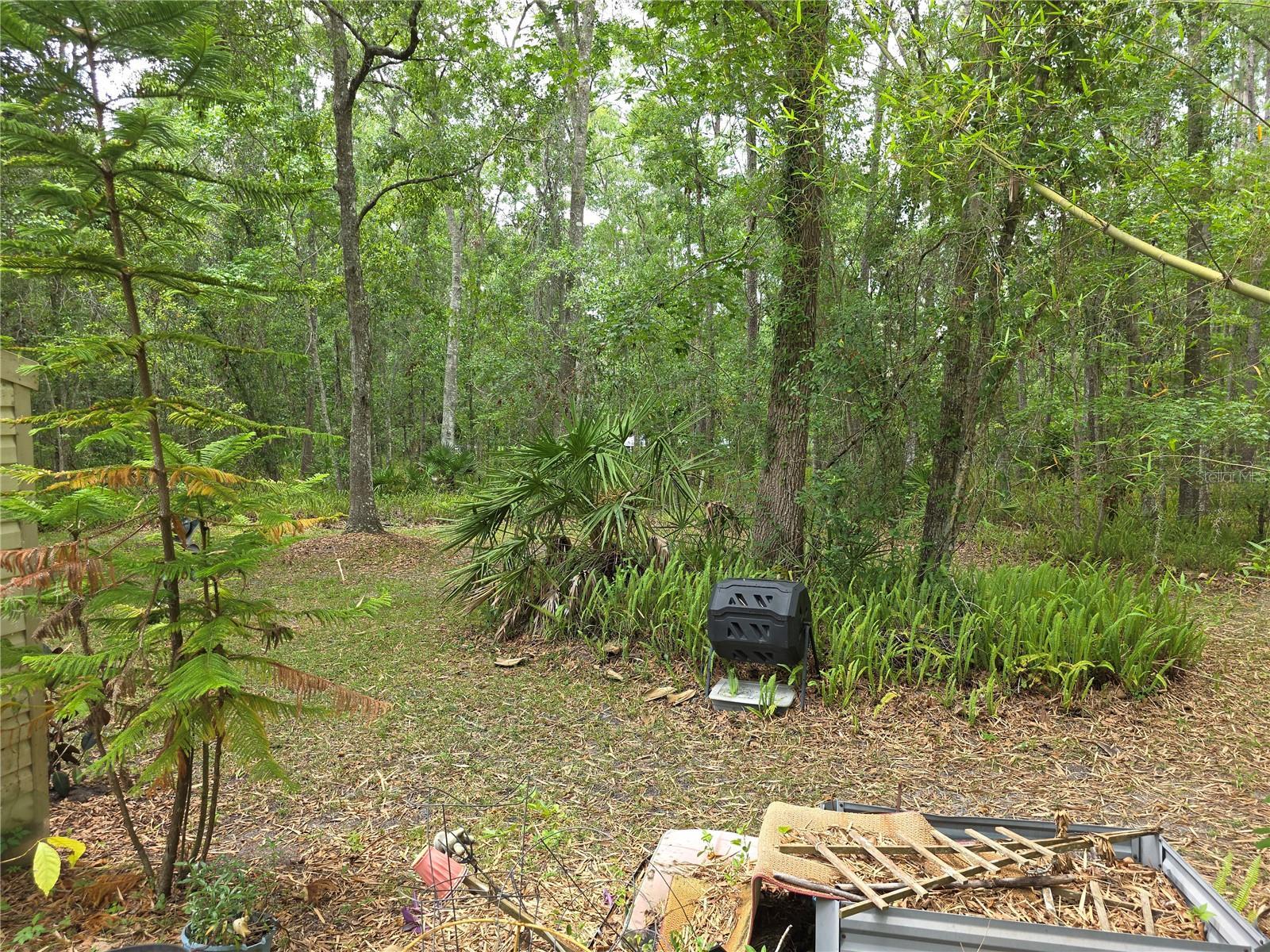 Photo #46