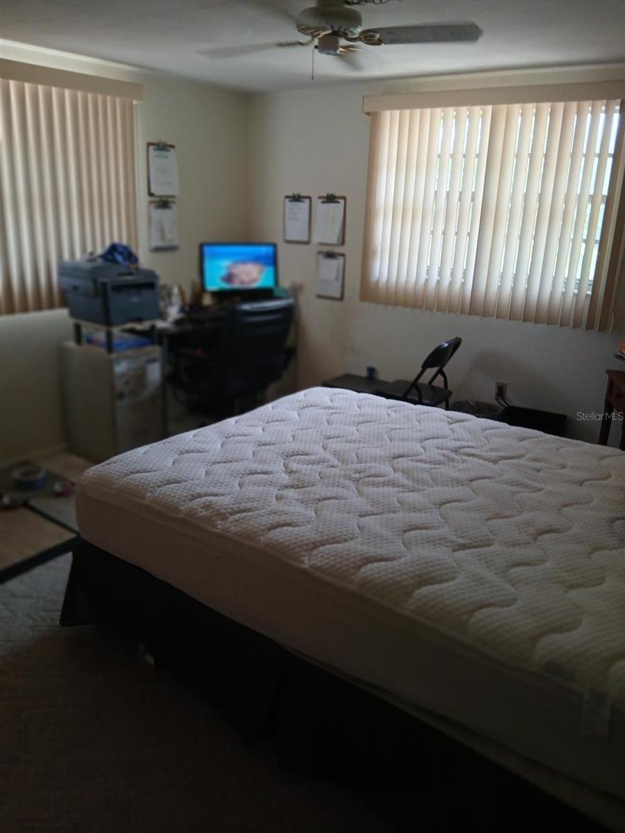 Photo #15