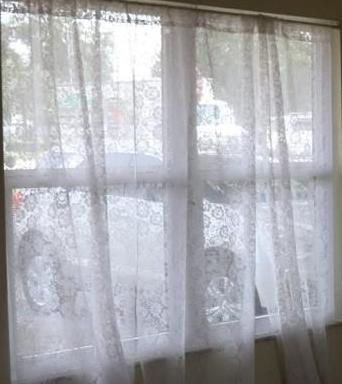 Photo #12