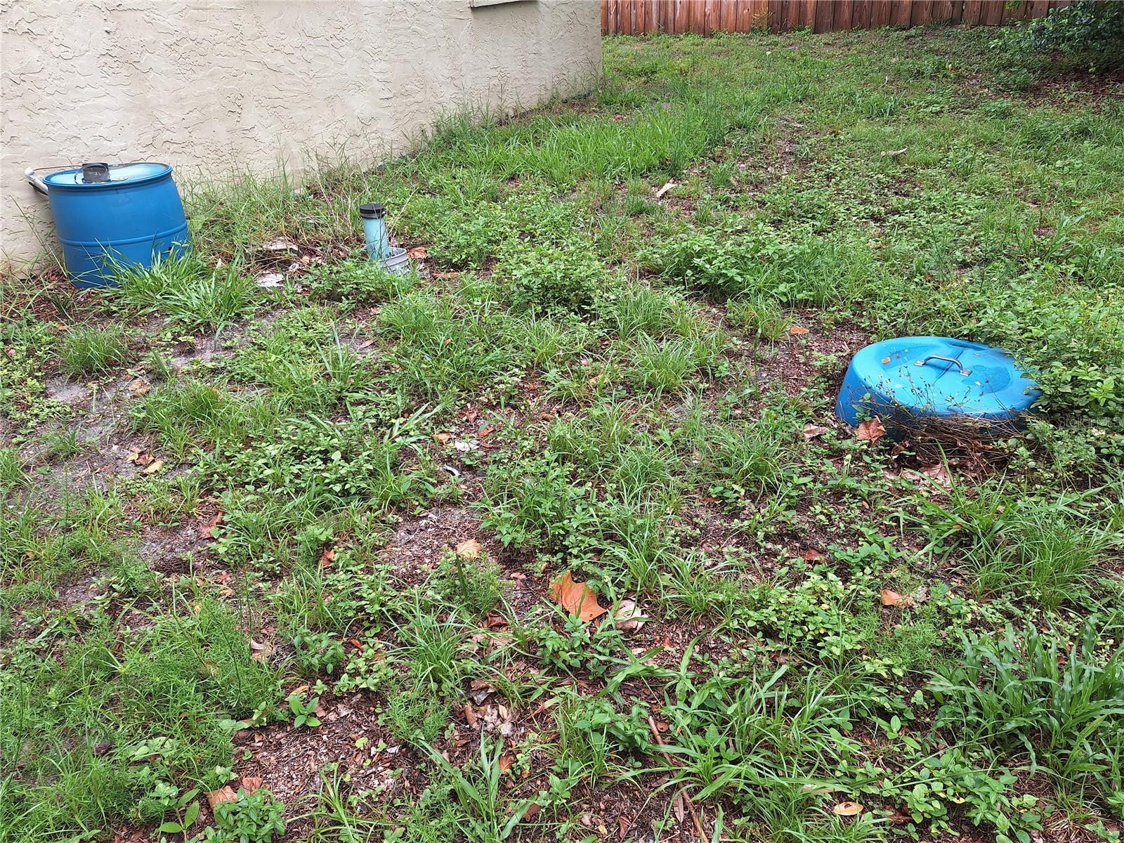 Photo #35