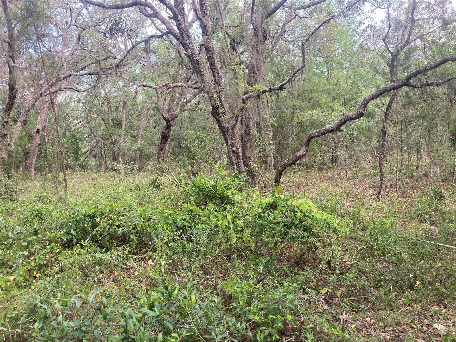 Photo #3