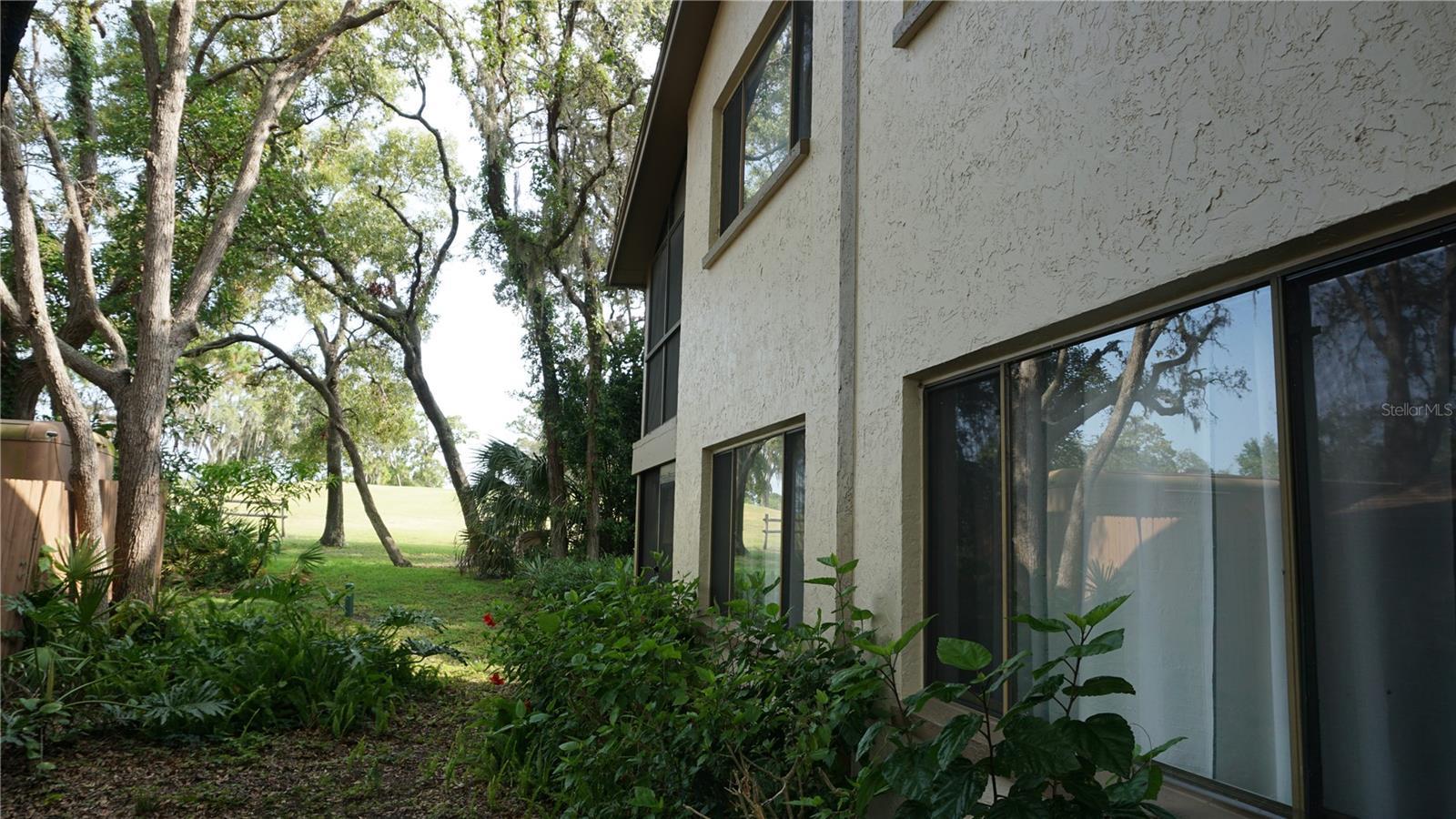 Photo #4