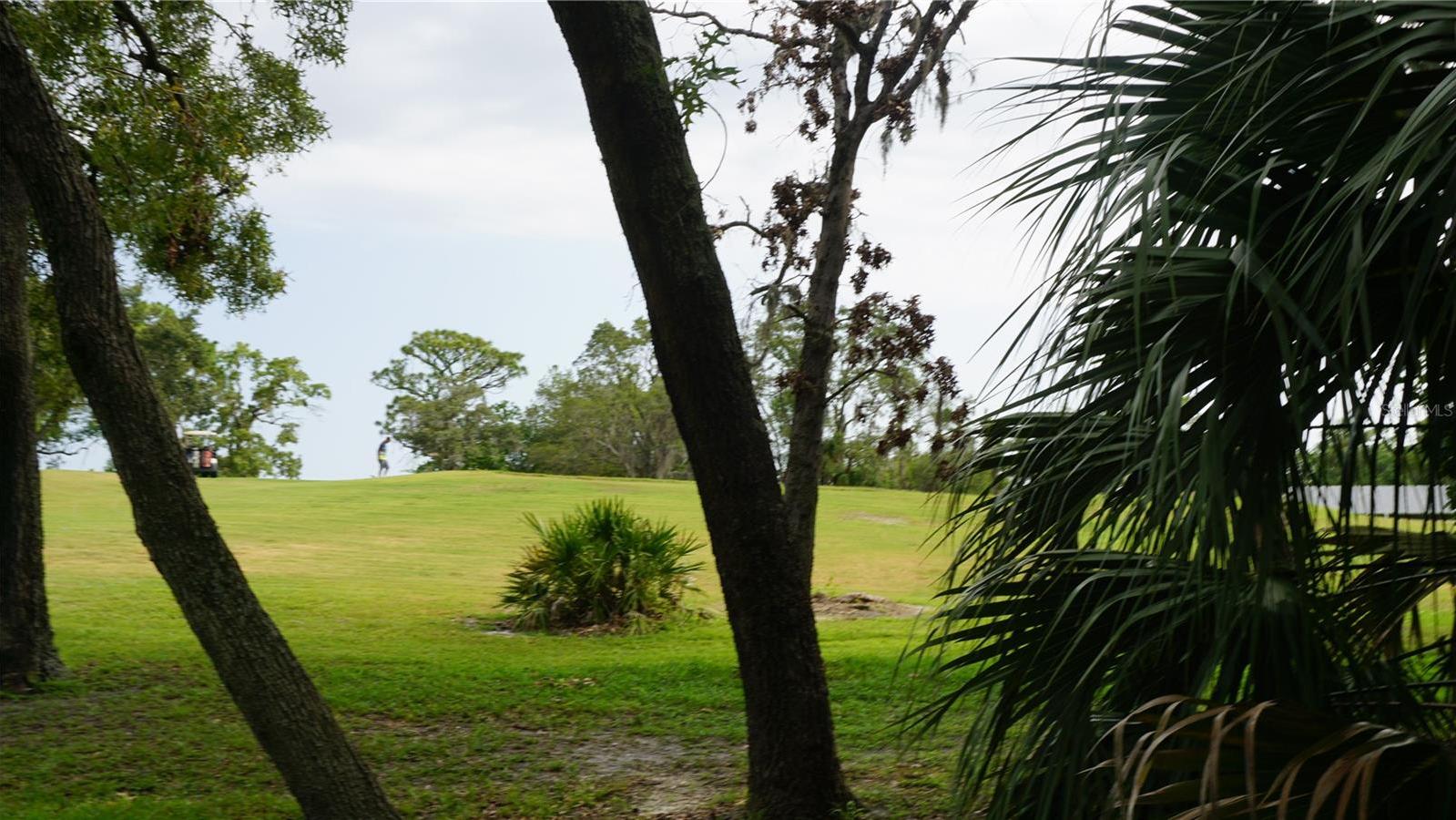 Photo #24